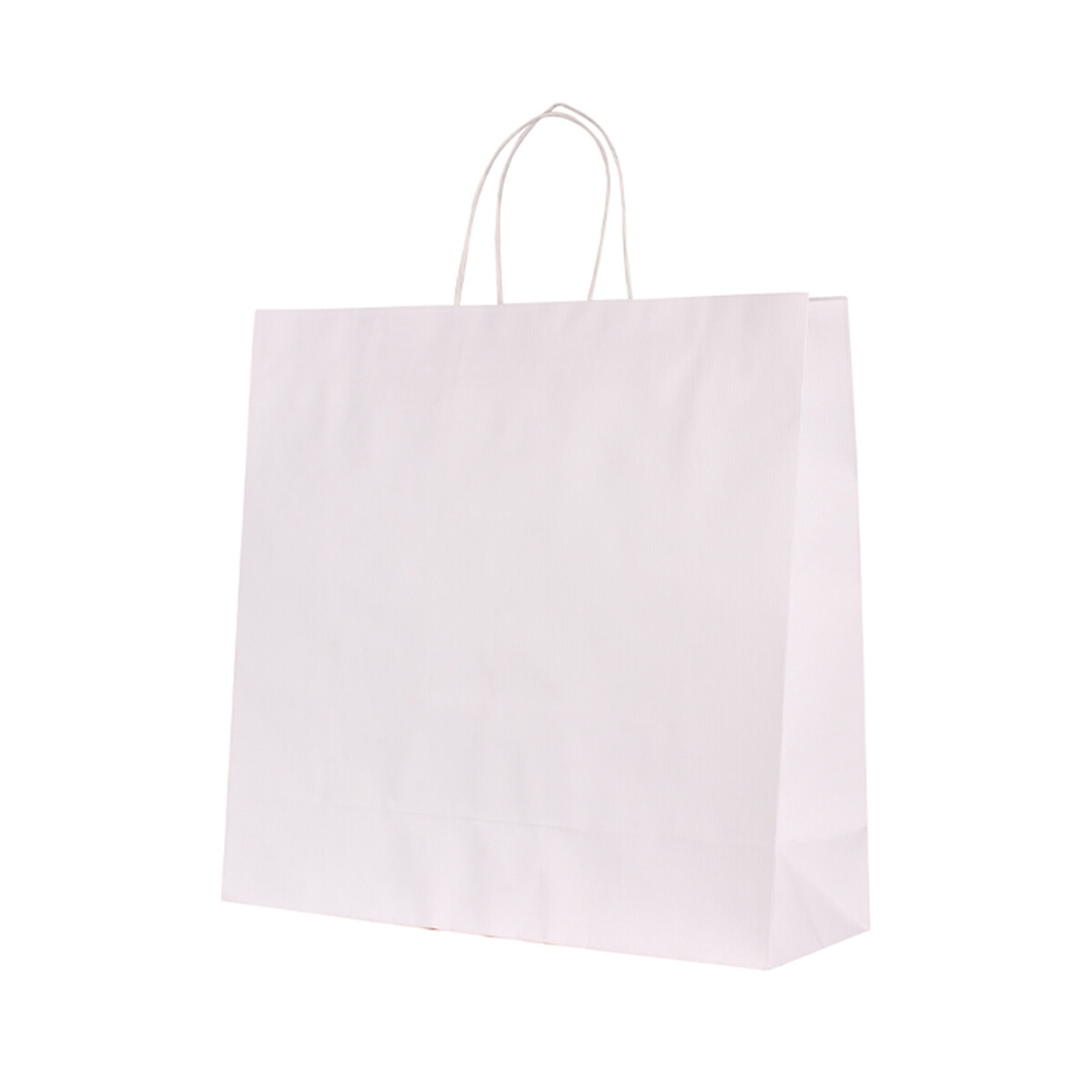 White Kraft Paper Bag with Twisted Cord Handles